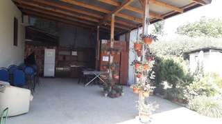 Гостевой дом Guesthouse Mandarin Гагра-2